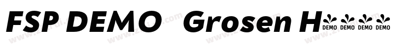 FSP DEMO   Grosen H字体转换